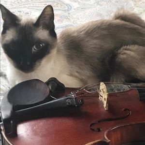 Meet your Posher, Hinginia